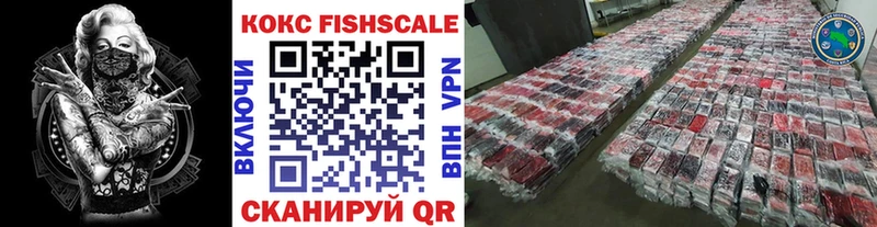 Cocaine FishScale  Купить где  Билибино 