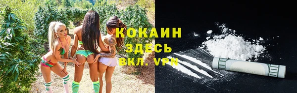 спайс Краснослободск